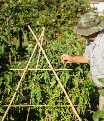 Gardening & Recreation